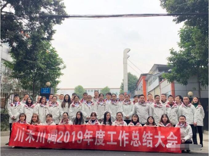 川禾川调2019年年度总结大会